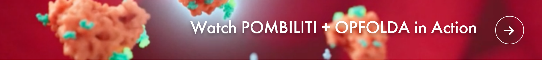 Watch POMBILITI + OPFOLDA in Action