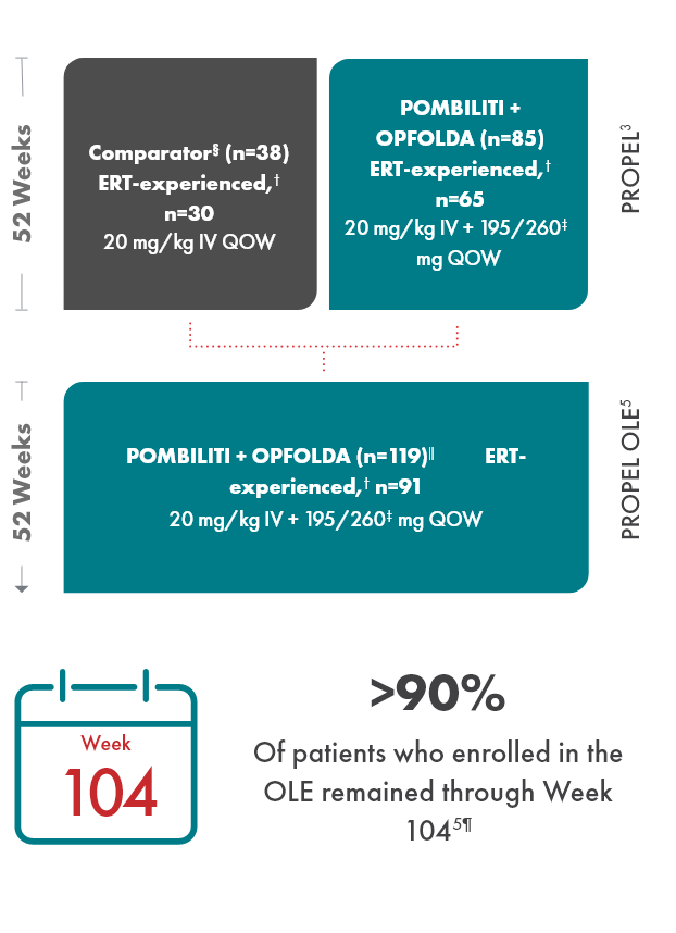 OLE: Study design infographic